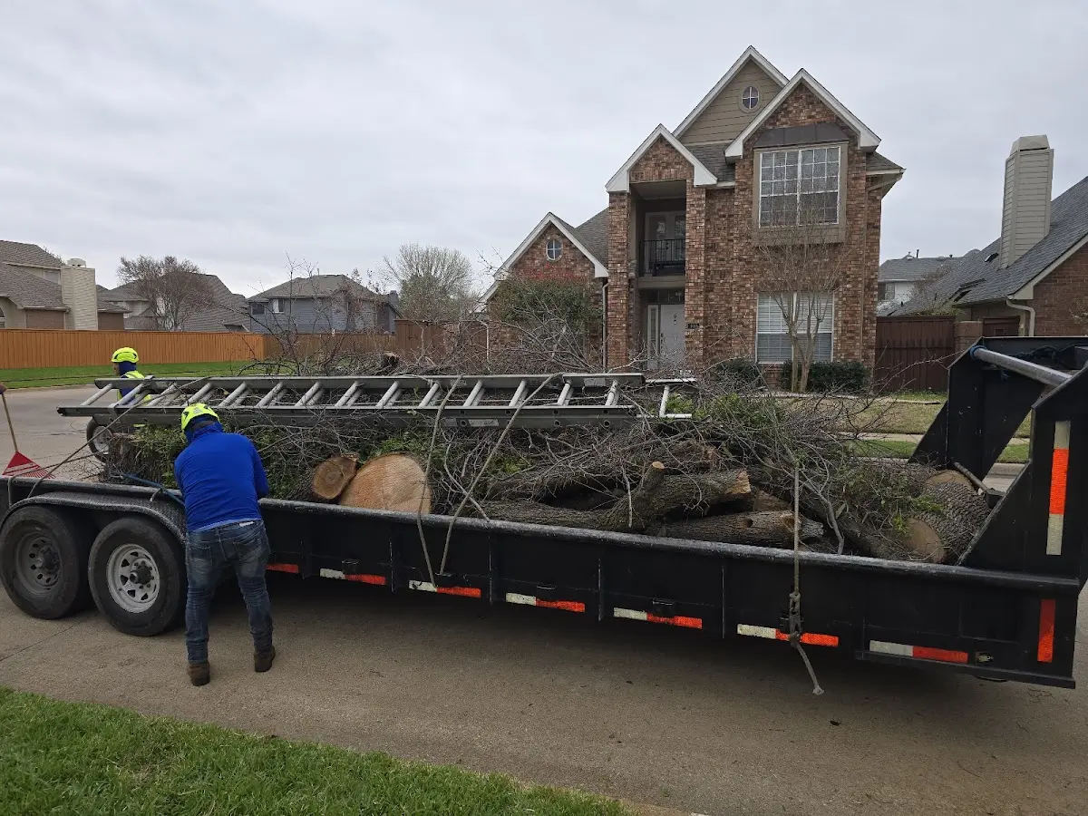 Expert Tree Fertilization with proper safety equipment in Molalla